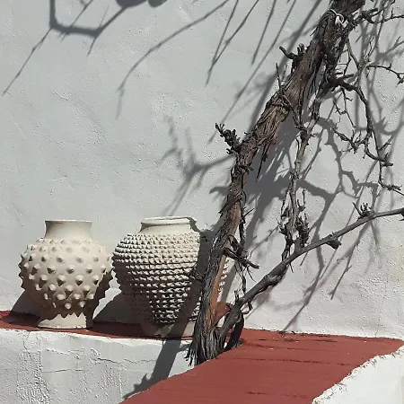 Casa Junius Arenas (Malaga)